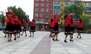 广场舞草原上的月光 广场舞草原上的月光